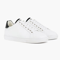 White x Black Snake